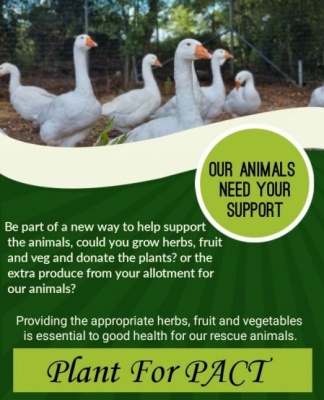 Food for our animals